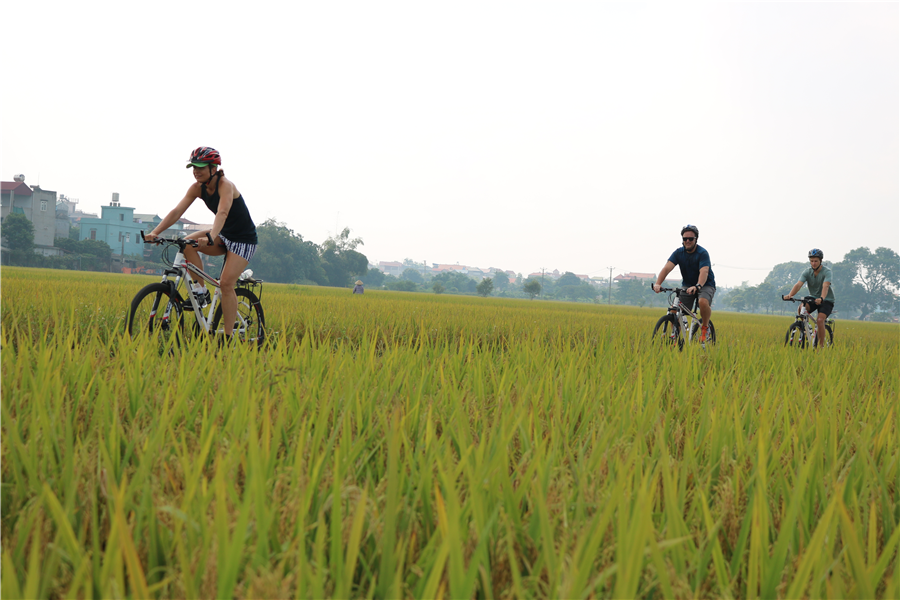 1773023760_Hanoi Red River delta cycling tour.jpg